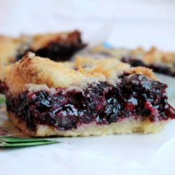 Blueberry Lime Crumb Bars