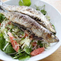 Sardines with fennel