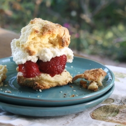 Strawberry Meyer Lemon Shortcake