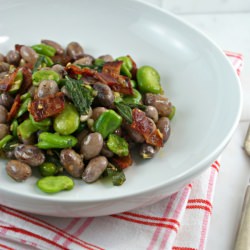 Fava and Cranberry Beans