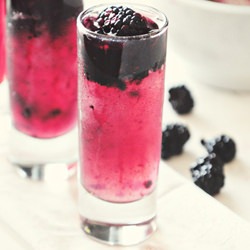 Blackberry Gin Shooter Cocktails