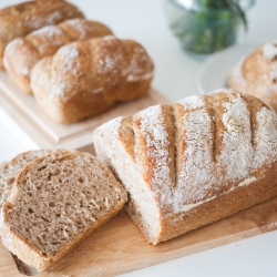 Homemade Whole Wheat Bread