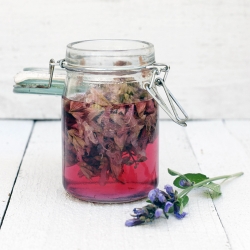 Sage Blossom Vinegar