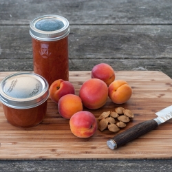 Apricot Jam