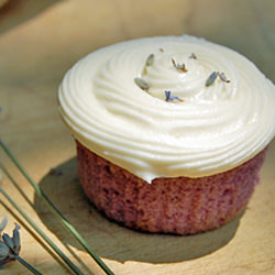 Lavender Cupcakes w/ Honey Frosting