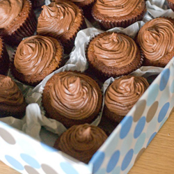 Chocolate Cupcakes