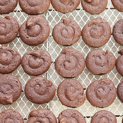 Chocolate Brownie Cookies