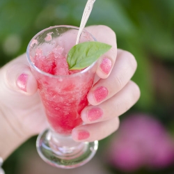 Basil and Watermelon Granita