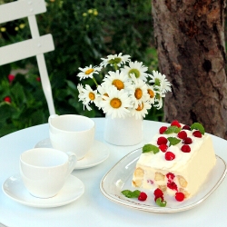 Mascarpone Raspberry Trifle Terrine