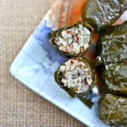 Quinoa Stuffed Grape Leaves