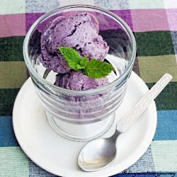 Blueberry Ice Cream