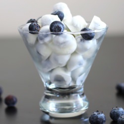 Fro Yo Blueberries