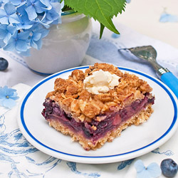 Blueberry-Apple Crumb Bars