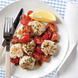 Scallops w. Herbed Tomato Sauce