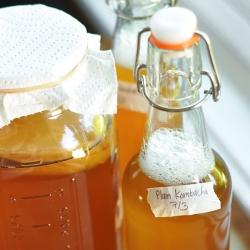 Kombucha Tea