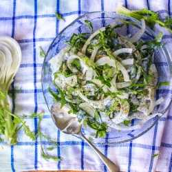 Kefir Fennel Slaw