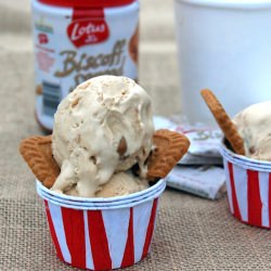 Biscoff Ice Cream