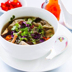 Mushroom Dumpling Soup