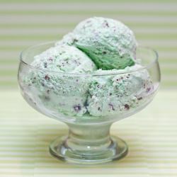 Homemade Mint Chip Ice Cream!