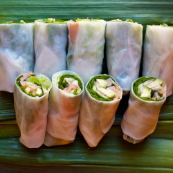 Fresh Spring Rolls with Salmon