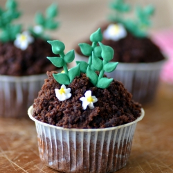 Sweet Potato Chocolate Cupcakes