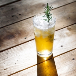 Rosemary Julep