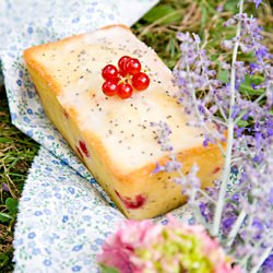 Red Currant and Chia Seed Cake