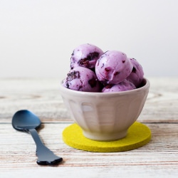 blueberry frozen yogurt