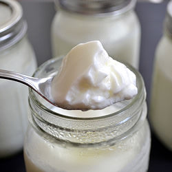 Homemade Yogurt