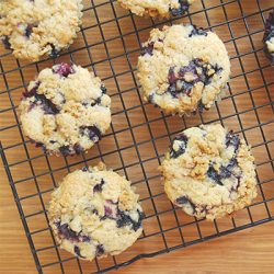 Blueberry Buttermilk Muffins