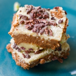 Chocolate Coconut Fudge Bars