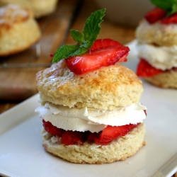 Strawberry Shortcake