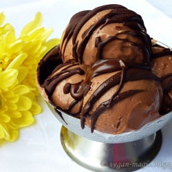 Coconut Chocolate Ice Cream