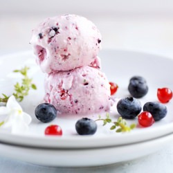 Berry Frozen Yogurt