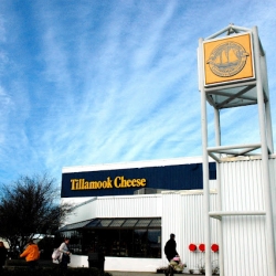 Tillamook Cheese