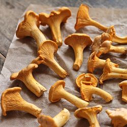 Chanterelles and Turnips