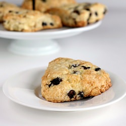 White Chocolate & Saskatoon Scones