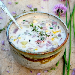 Summer Corn Chowder