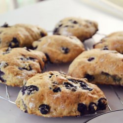 Blueberry Scones