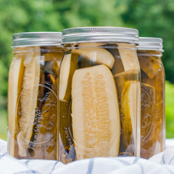 Garlic Dill Refrigerator Pickles