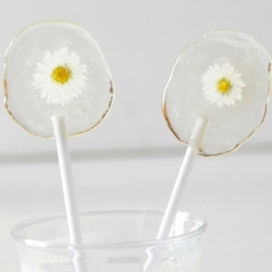 DIY Daisy Lollipops