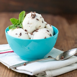 Mint Chocolate Chip Ice Cream