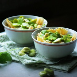 broad bean pasta