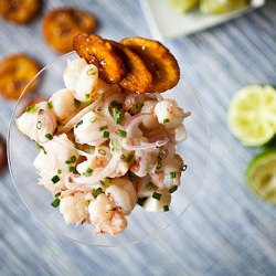 Shrimp & Scallop Ceviche