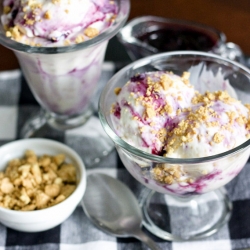 Blueberry Graham Frozen Yogurt