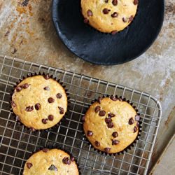 Banana Chocolate Chip Muffins