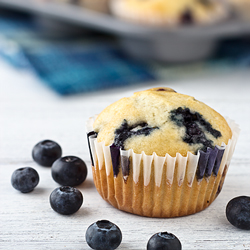 Blueberry Sour Cream Muffins