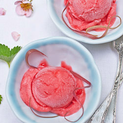 Strawberry-Rhubarb Sorbet