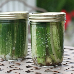 Dill Pickles