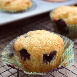 Lemon Ricotta Blueberry Muffins